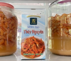 ĐẶC SẢN MẮM TÉP THÚY NGUYỄN 