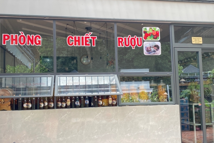 RƯỢU ĐẶC SẢN CÁC LOẠI