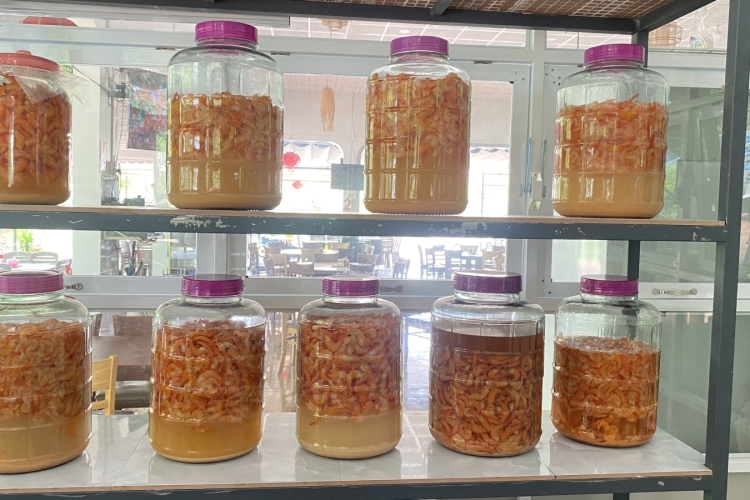 ĐẶC SẢN MẮM TÉP THÚY NGUYỄN 