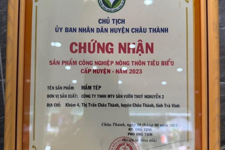 ĐẶC SẢN MẮM TÉP THÚY NGUYỄN 