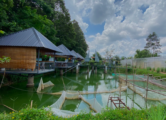 Ẩm thực sân vườn